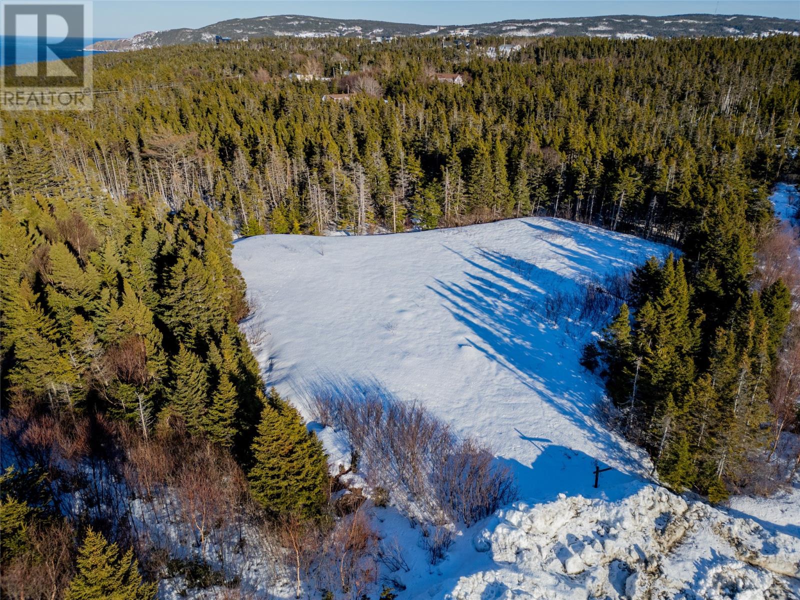 1 Sallesnik Lane, Torbay, Newfoundland & Labrador  A1K 0B4 - Photo 4 - 1295074