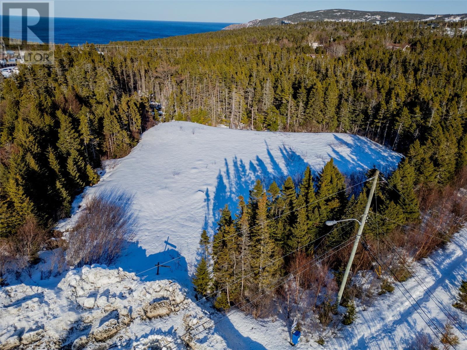 1 Sallesnik Lane, Torbay, Newfoundland & Labrador  A1K 0B4 - Photo 5 - 1295074