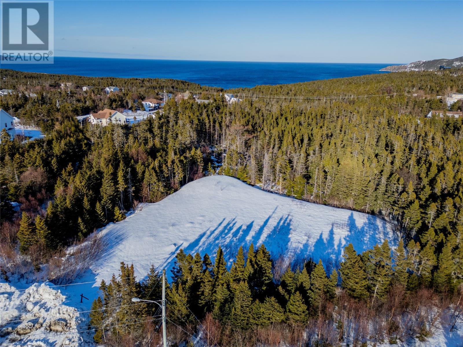 1 Sallesnik Lane, Torbay, Newfoundland & Labrador  A1K 0B4 - Photo 6 - 1295074