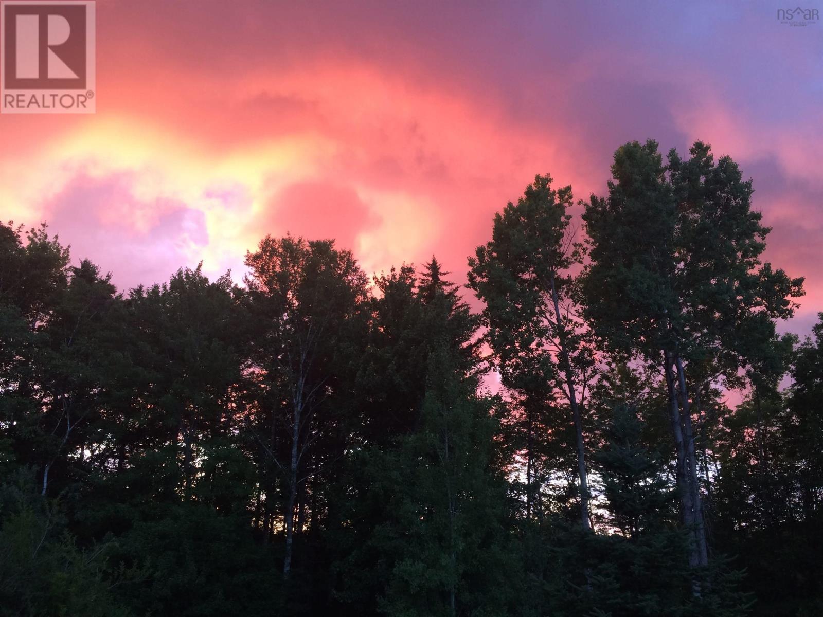 481 Conquerall Road, Conquerall Mills, Nova Scotia  B4V 6B9 - Photo 49 - 202603956