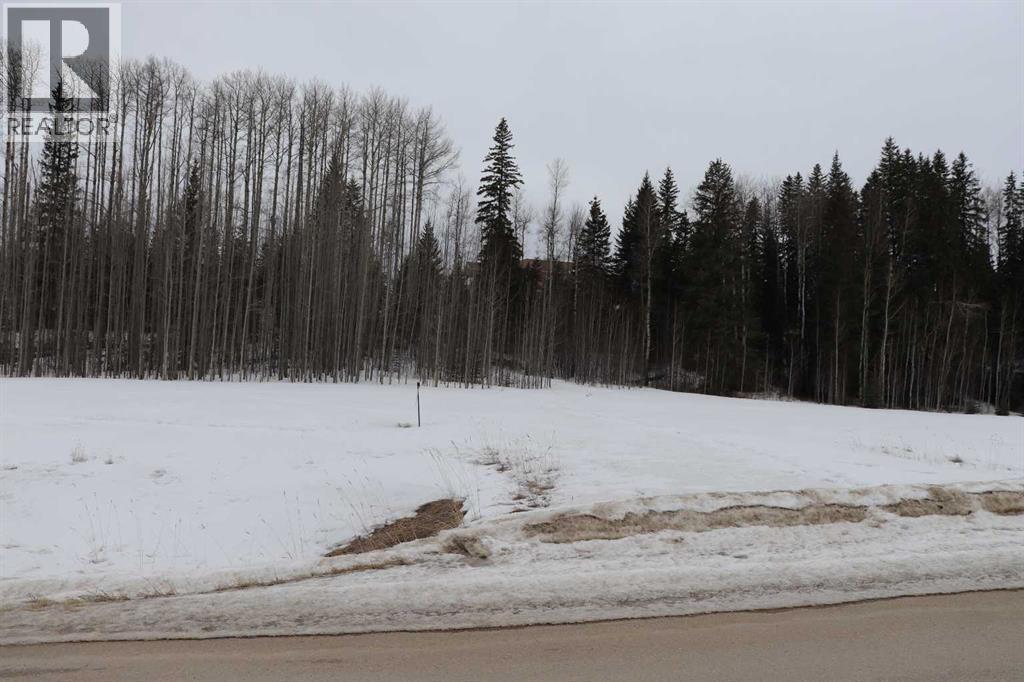 24, 16511 Township Road 532A, rural yellowhead county, Alberta