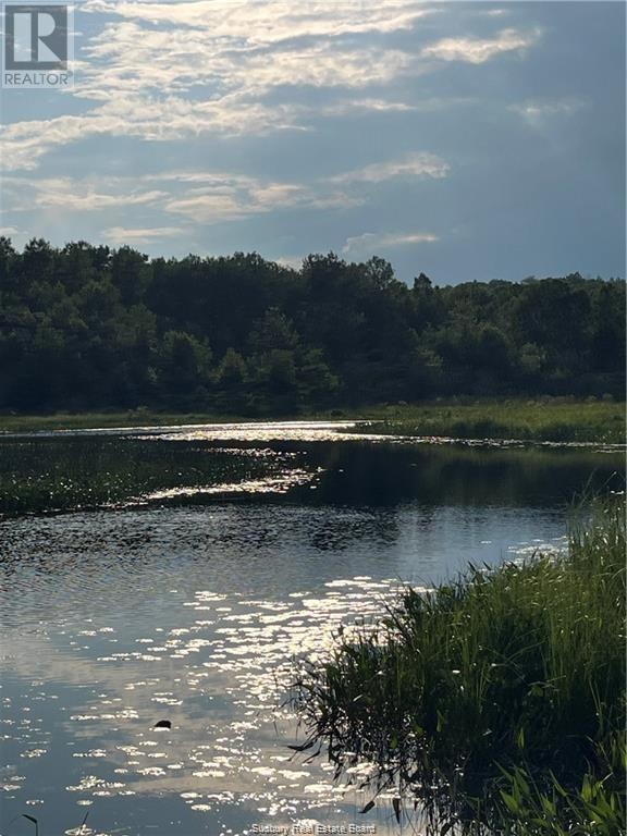 145 Sabourin Street, Greater Sudbury, Ontario  P3E 4N1 - Photo 3 - 2126740