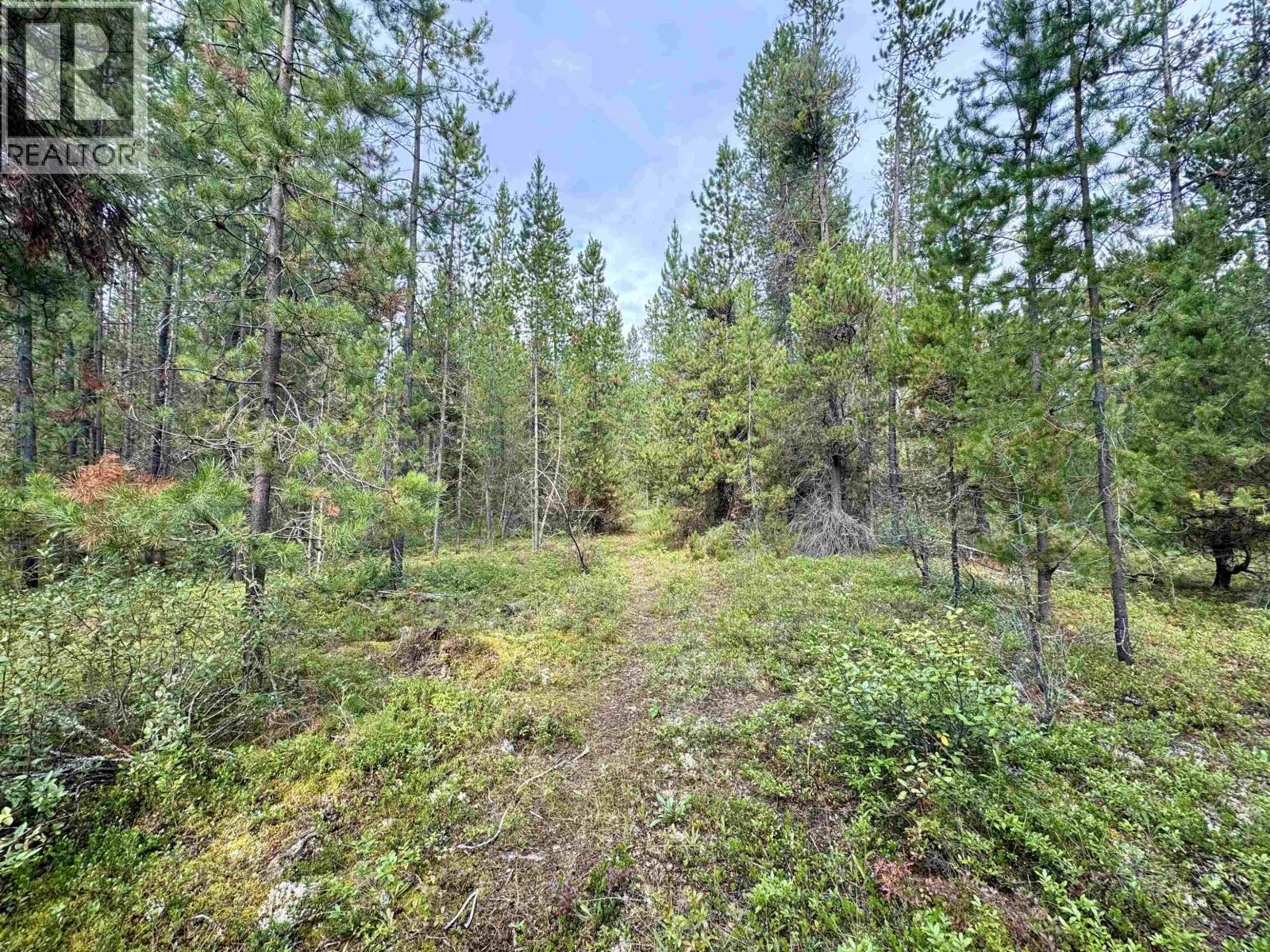 Lot 8 Pine Road, Valemount, British Columbia  V0Z 2Z0 - Photo 8 - R3096627