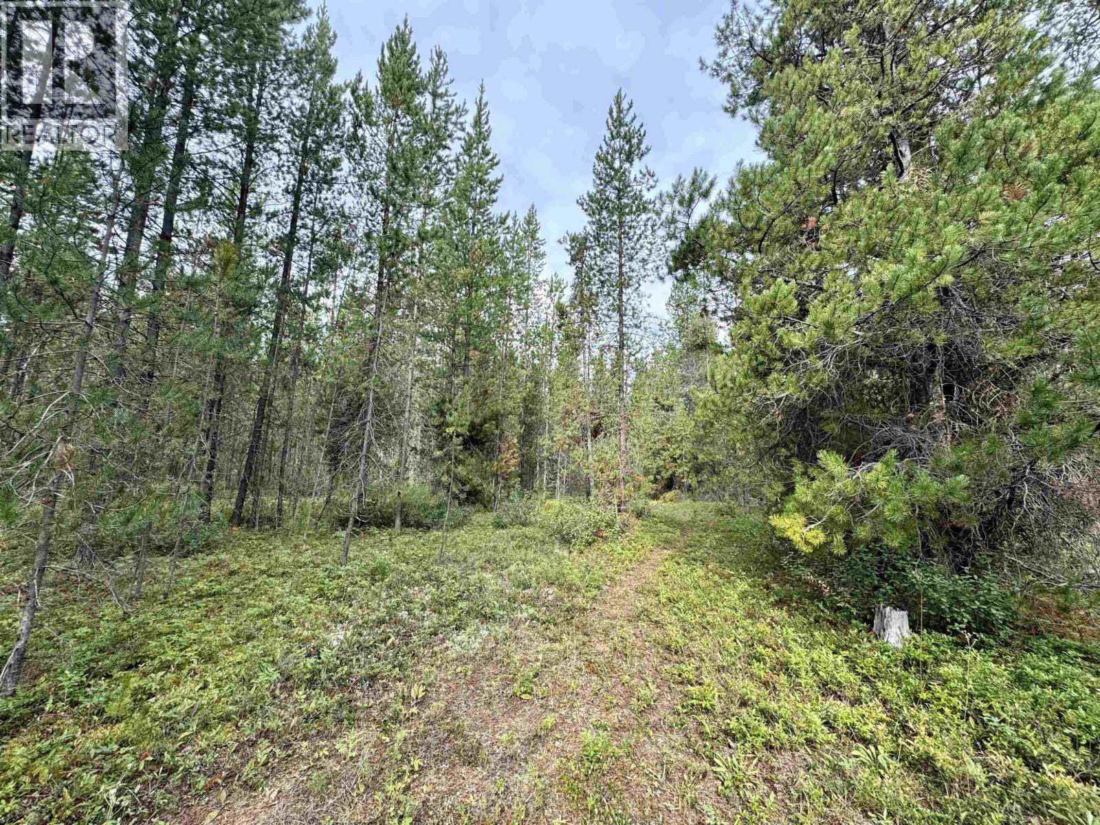 Lot 8 Pine Road, Valemount, British Columbia  V0Z 2Z0 - Photo 7 - R3096627
