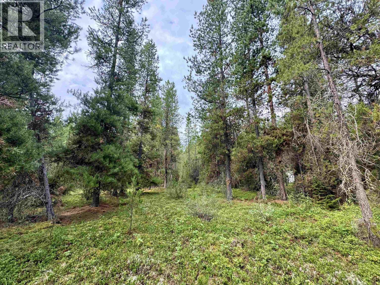 Lot 8 Pine Road, Valemount, British Columbia  V0Z 2Z0 - Photo 6 - R3096627