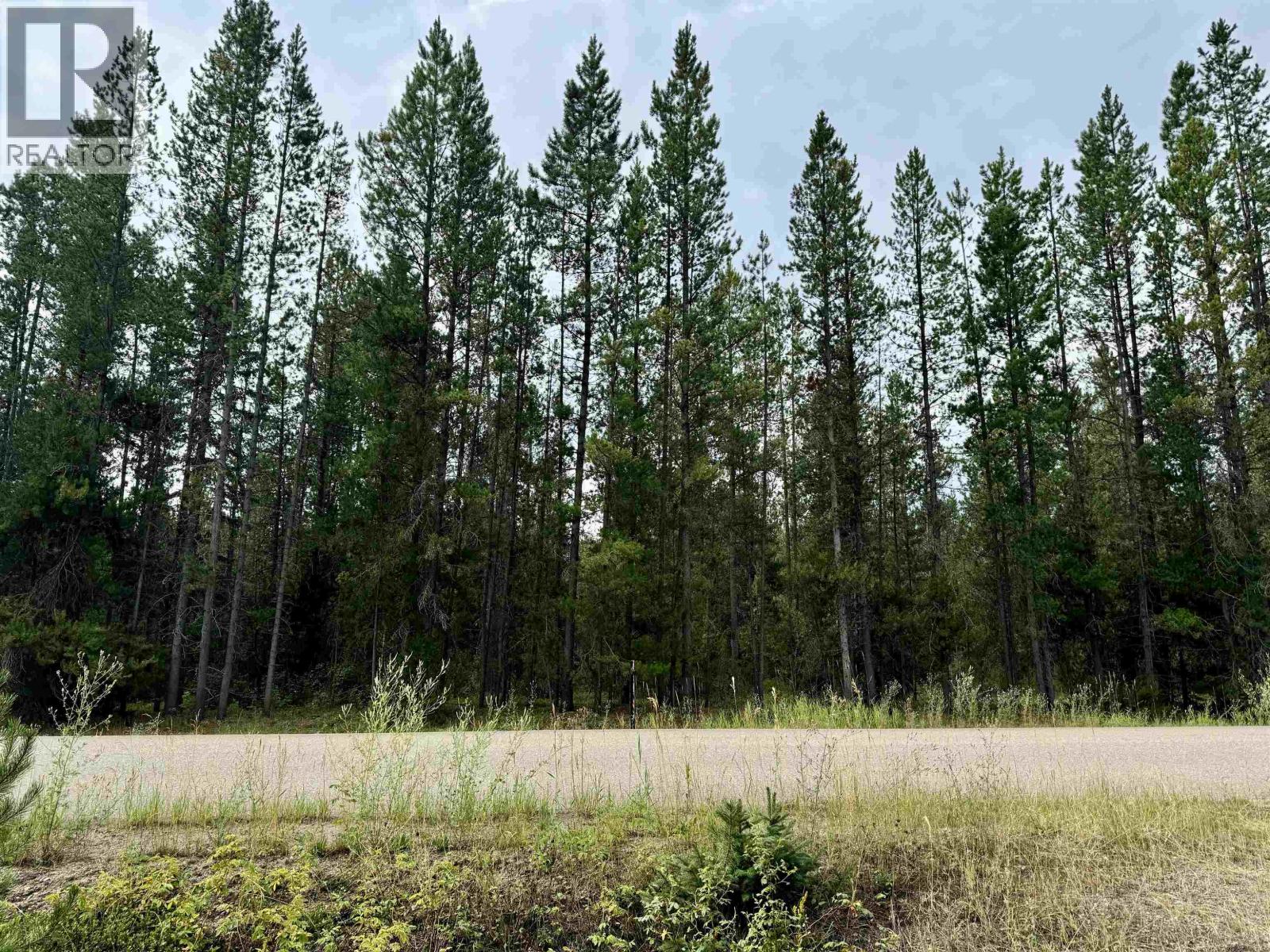 Lot 8 Pine Road, Valemount, British Columbia  V0Z 2Z0 - Photo 1 - R3096627