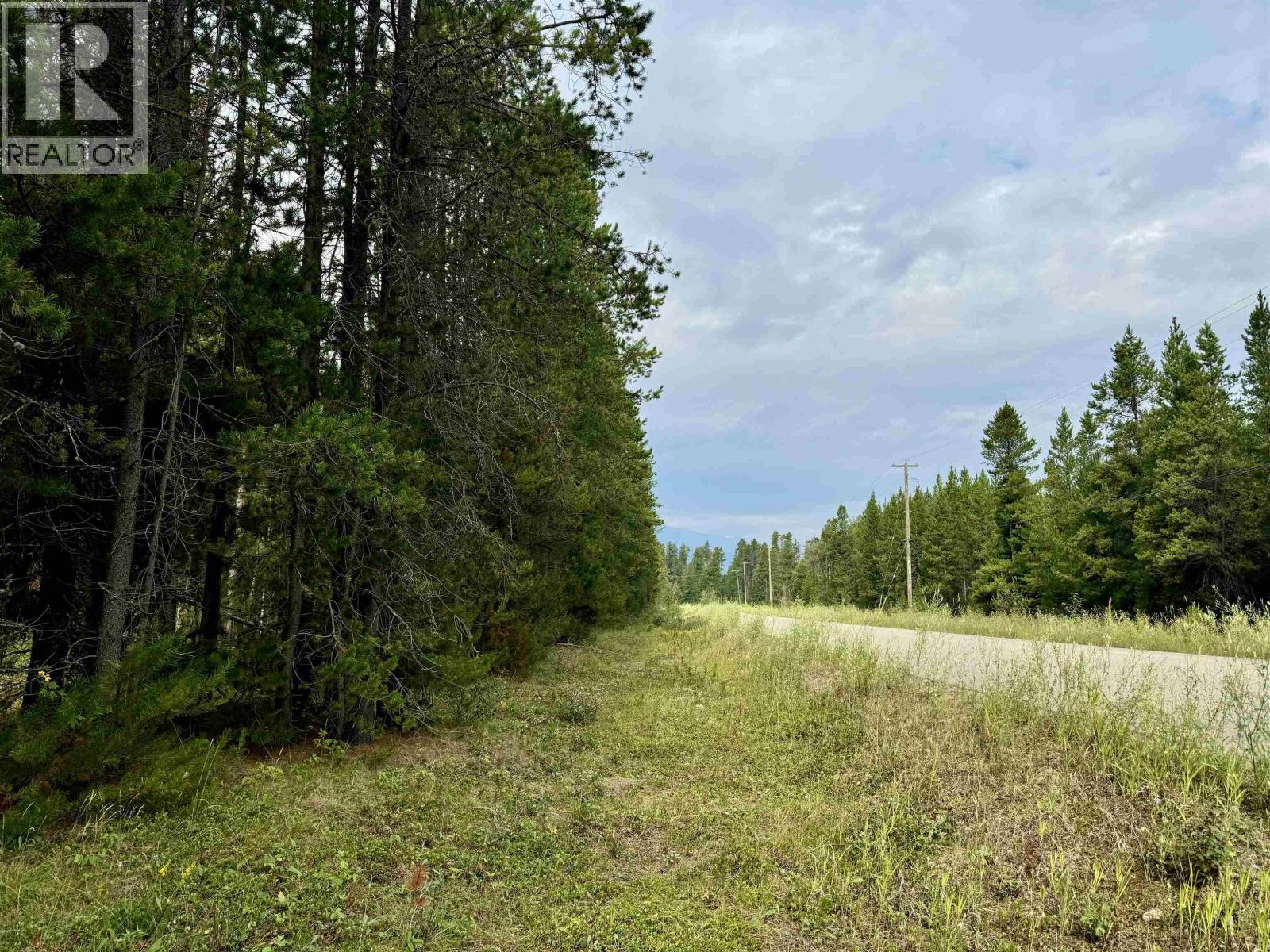 Lot 8 Pine Road, Valemount, British Columbia  V0Z 2Z0 - Photo 3 - R3096627