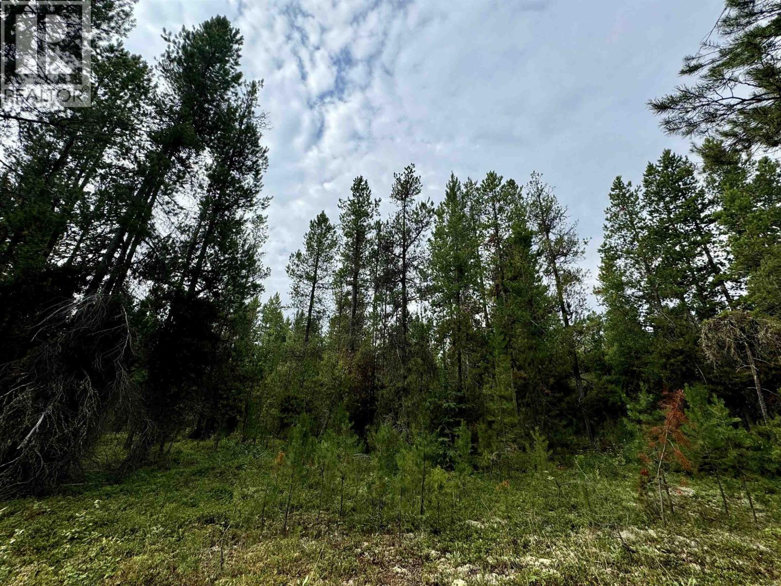 Lot 8 Pine Road, Valemount, British Columbia  V0Z 2Z0 - Photo 5 - R3096627