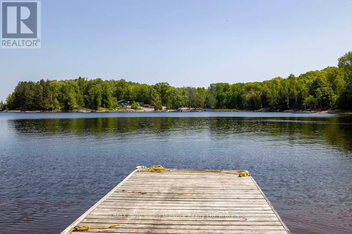 29 Shabbotts Bay Road, Whitestone, Ontario  P0A 1G0 - Photo 11 - X12865208