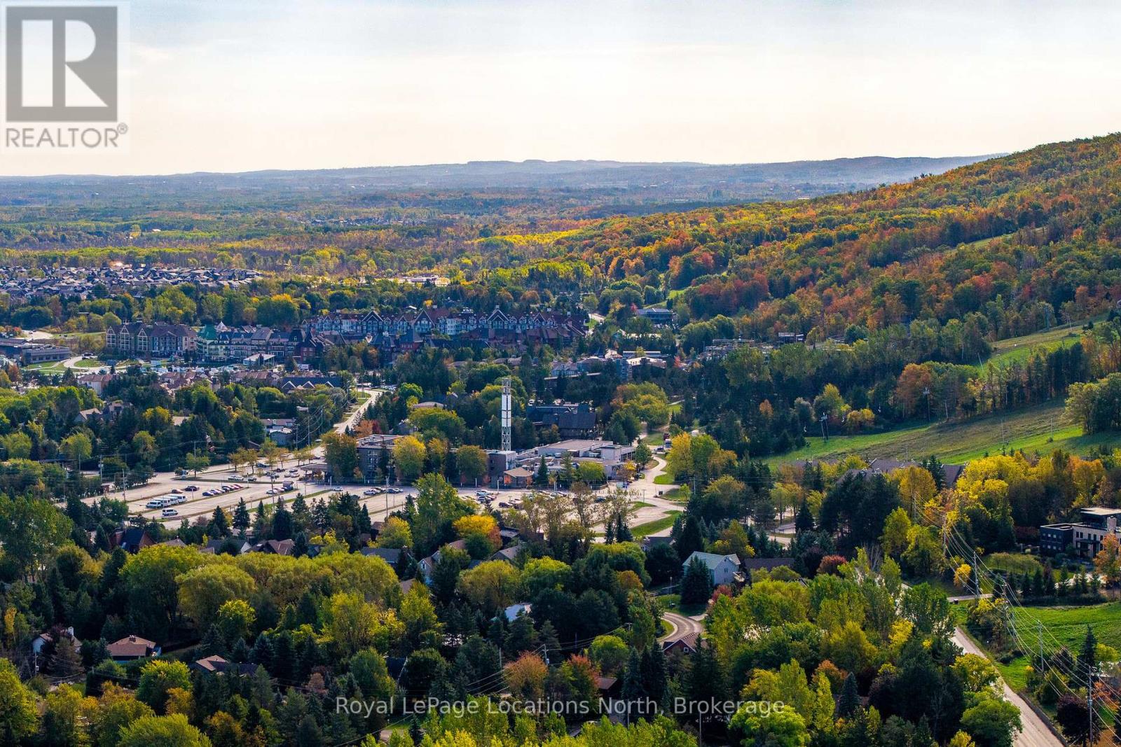 173 National Drive, Blue Mountains, Ontario  L9Y 0B5 - Photo 37 - X12865400