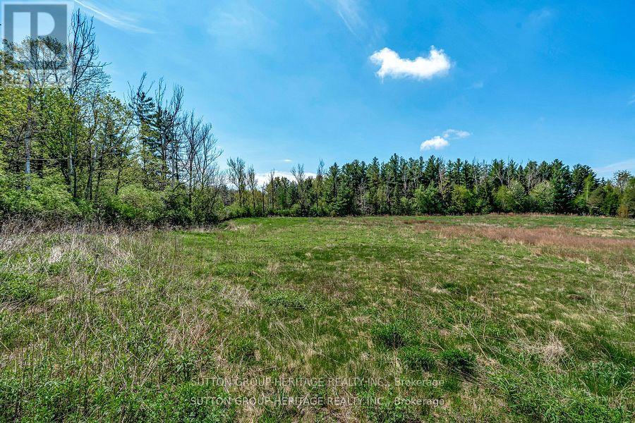 3187 Stouffville Road, Whitchurch-Stouffville, Ontario  L4A 3W9 - Photo 13 - N12395049