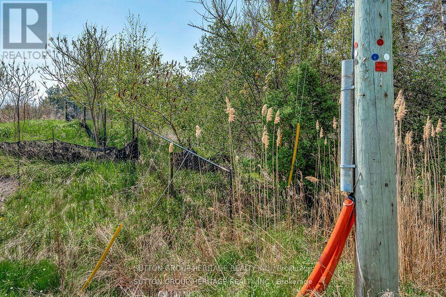 3187 Stouffville Road, Whitchurch-Stouffville, Ontario  L4A 3W9 - Photo 17 - N12395049