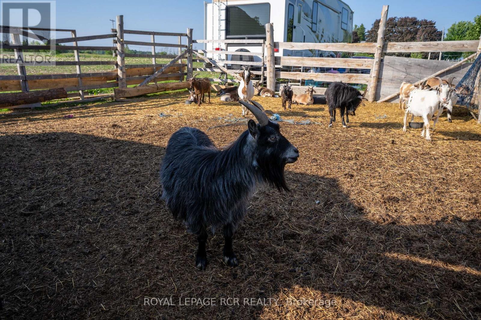 2606 Crossland Road, Springwater, Ontario  L0L 1P0 - Photo 38 - S12865384