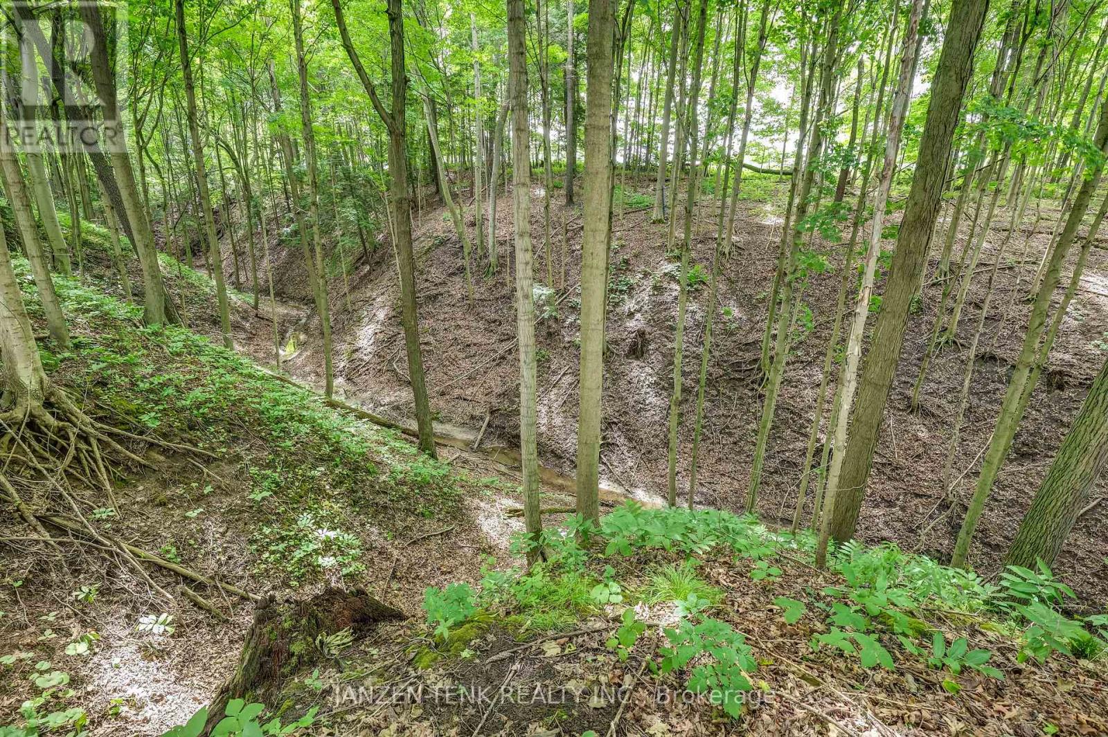 56741 Eden Line, Bayham, Ontario  N0J 1H0 - Photo 44 - X12865644