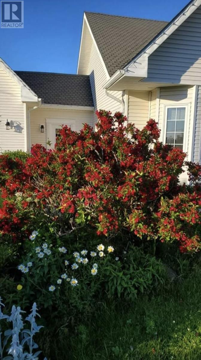 105 Main Road, Point Au Mal, Newfoundland & Labrador  A0N 1T0 - Photo 49 - 1295092