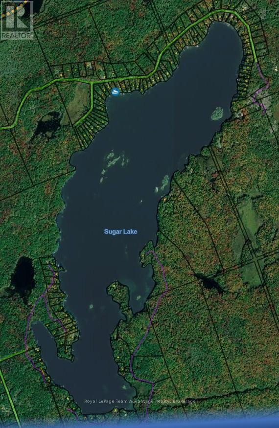 153 Sugar Lake Road, Seguin, Ontario  P2A 0B6 - Photo 50 - X12865680