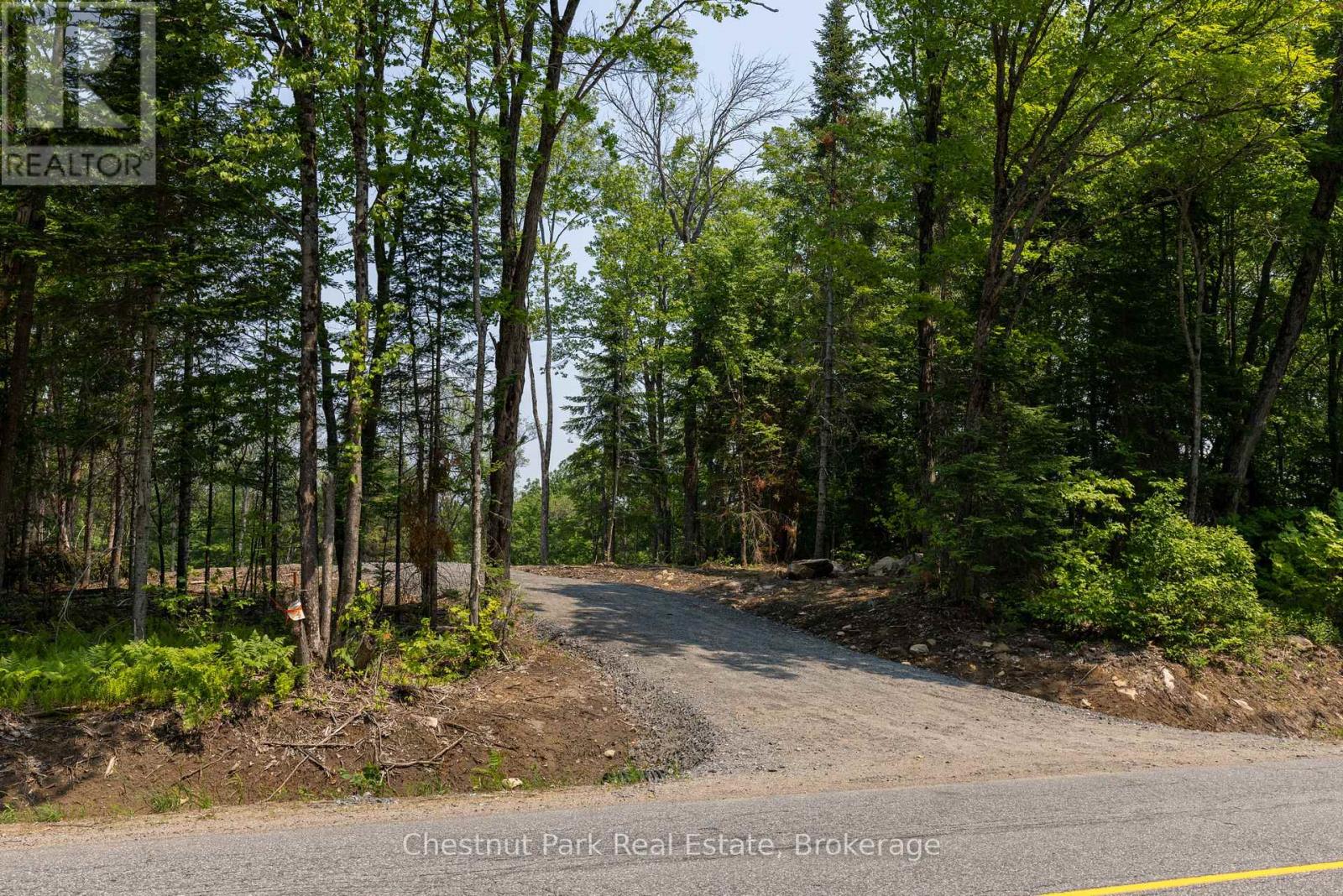 2212 Aspdin Road, Huntsville, Ontario  P0B 1M0 - Photo 14 - X12865704