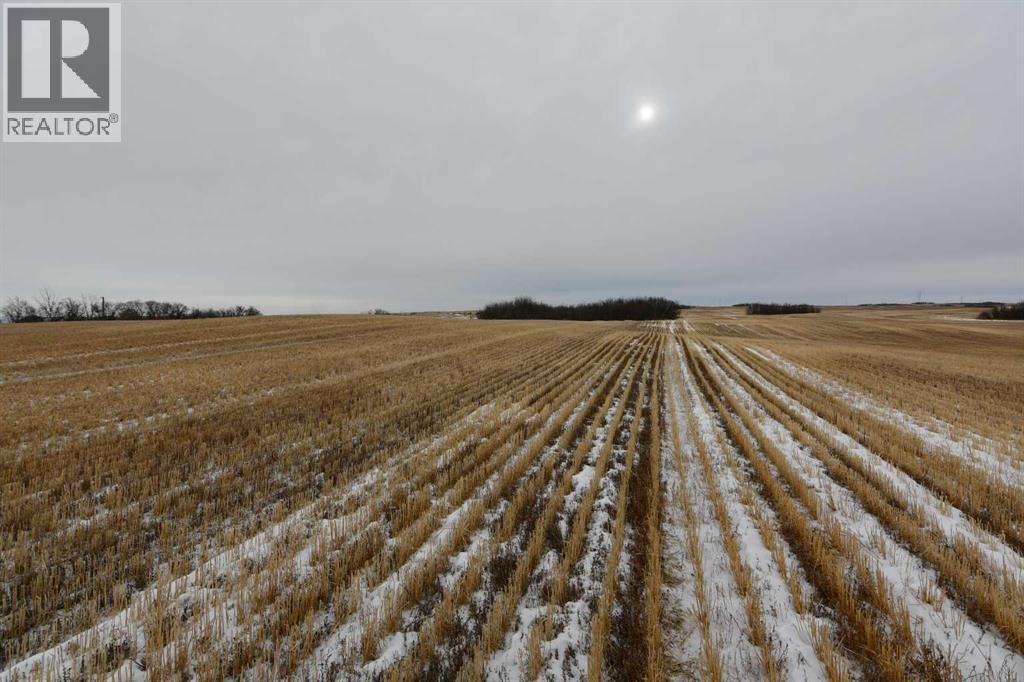 On Township Rd 282, Rural Special Areas No. 3, Alberta  T0J 0C7 - Photo 9 - A2282475