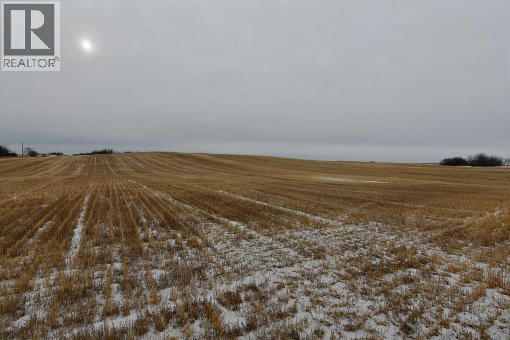 On Township Rd 282, Rural Special Areas No. 3, Alberta  T0J 0C7 - Photo 5 - A2282475