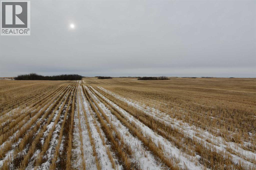 On Township Rd 282, Rural Special Areas No. 3, Alberta  T0J 0C7 - Photo 8 - A2282475