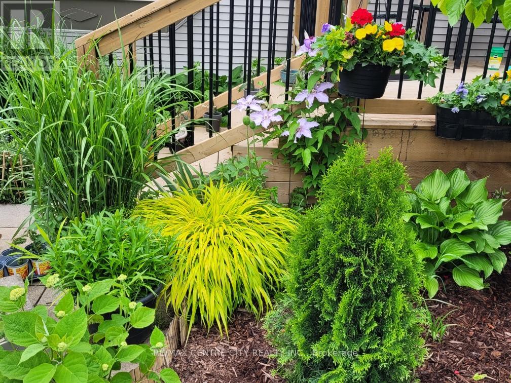 Photo 39 of 39 for 41 - 2189 Dundas Street E