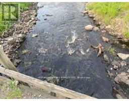 17556 HIGHWAY 62, Madoc, Ontario