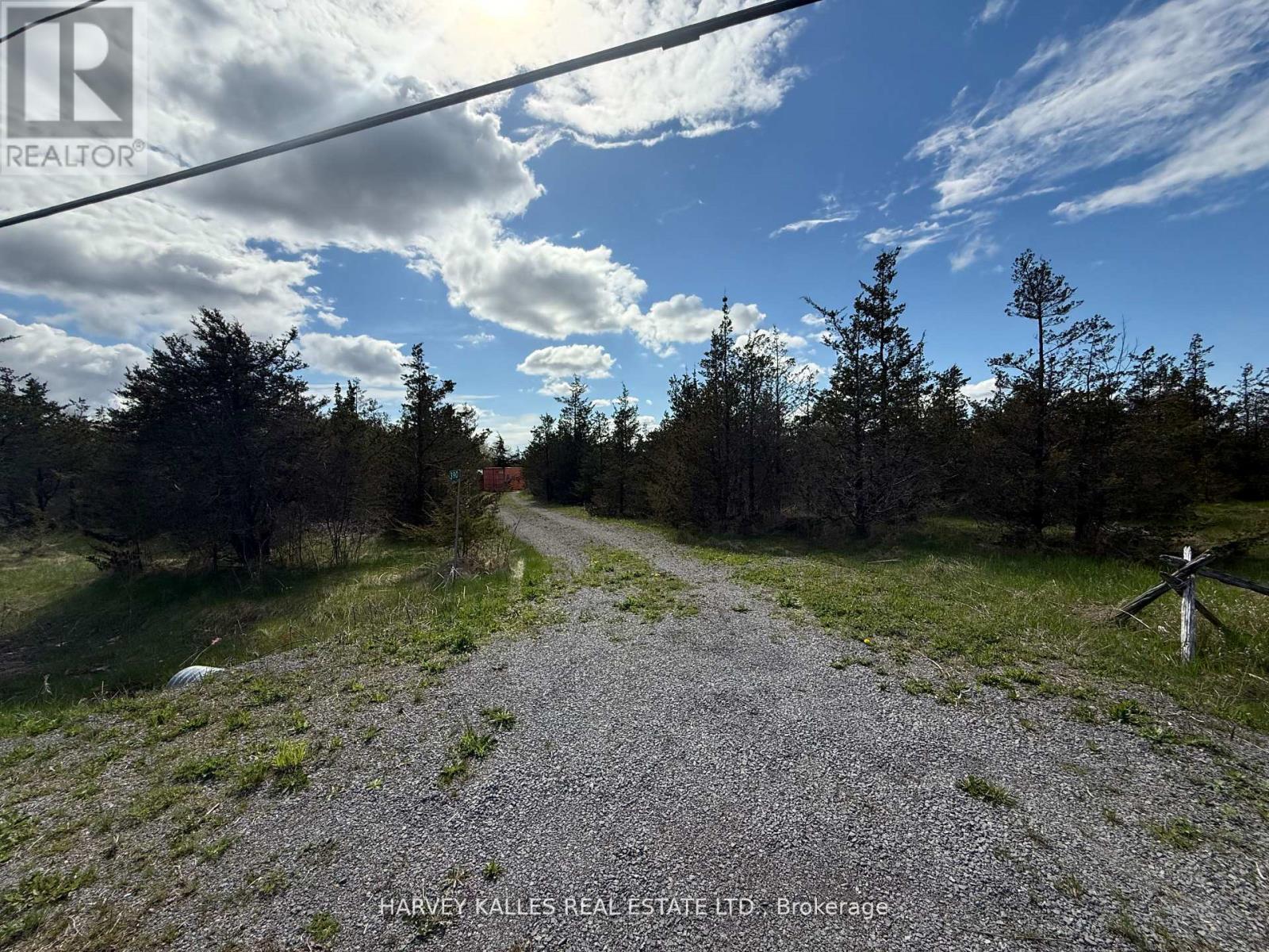 390 County Road 25, Prince Edward County, Ontario  K0K 2T0 - Photo 5 - X12865930