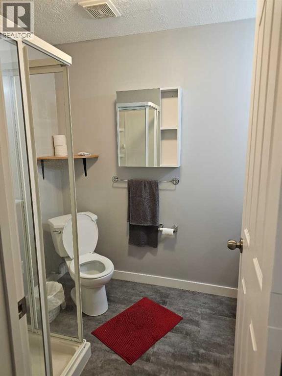 1808 Strathcona Bay, Strathmore, Alberta  T1P 1S9 - Photo 24 - A2277903