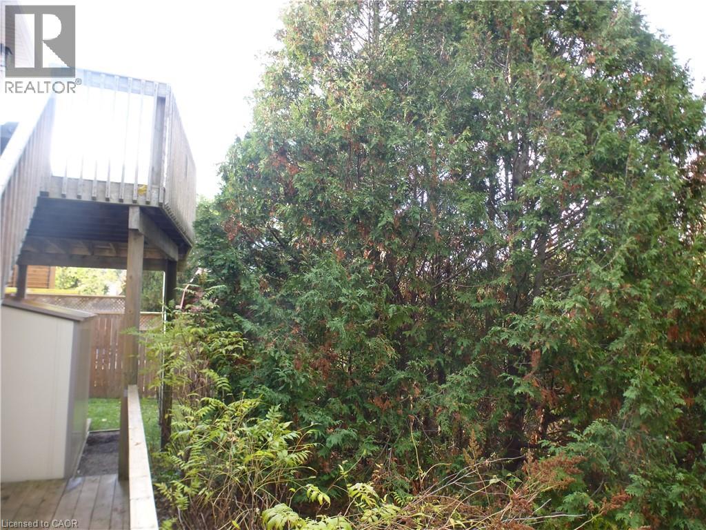 114 Glencliffe Court, Kitchener, Ontario  N2B 3X1 - Photo 41 - 40811034