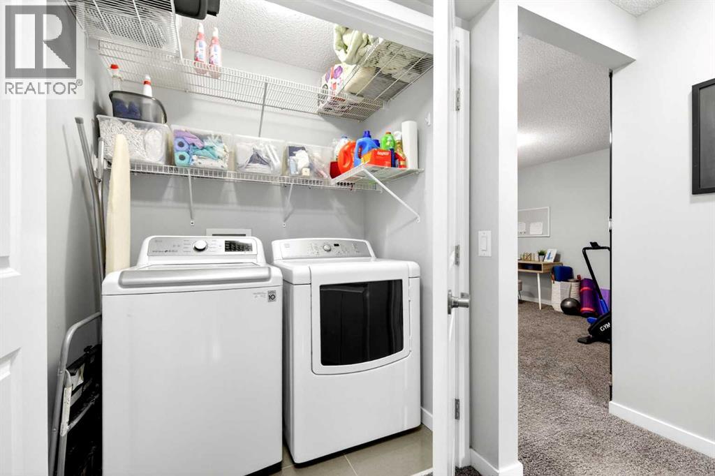 253 Auburn Meadows Boulevard Se, Calgary, Alberta  T3M 2E6 - Photo 41 - A2290355