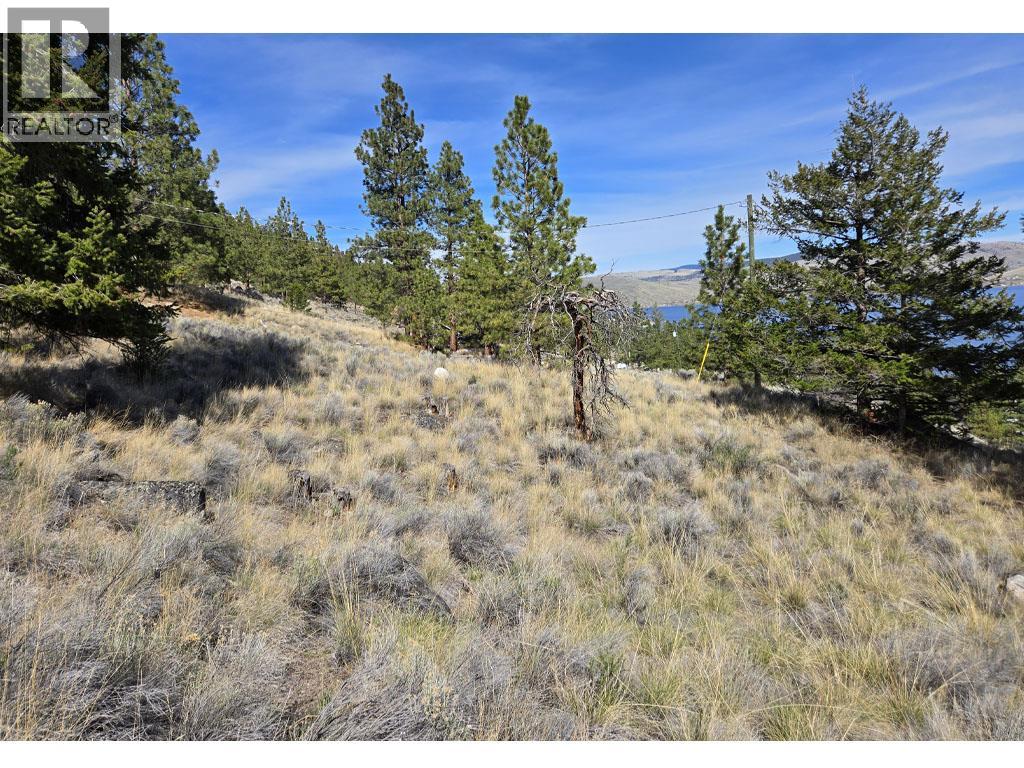 6403 Monck Park Road, Merritt, British Columbia  V1K 0A1 - Photo 20 - 10378659