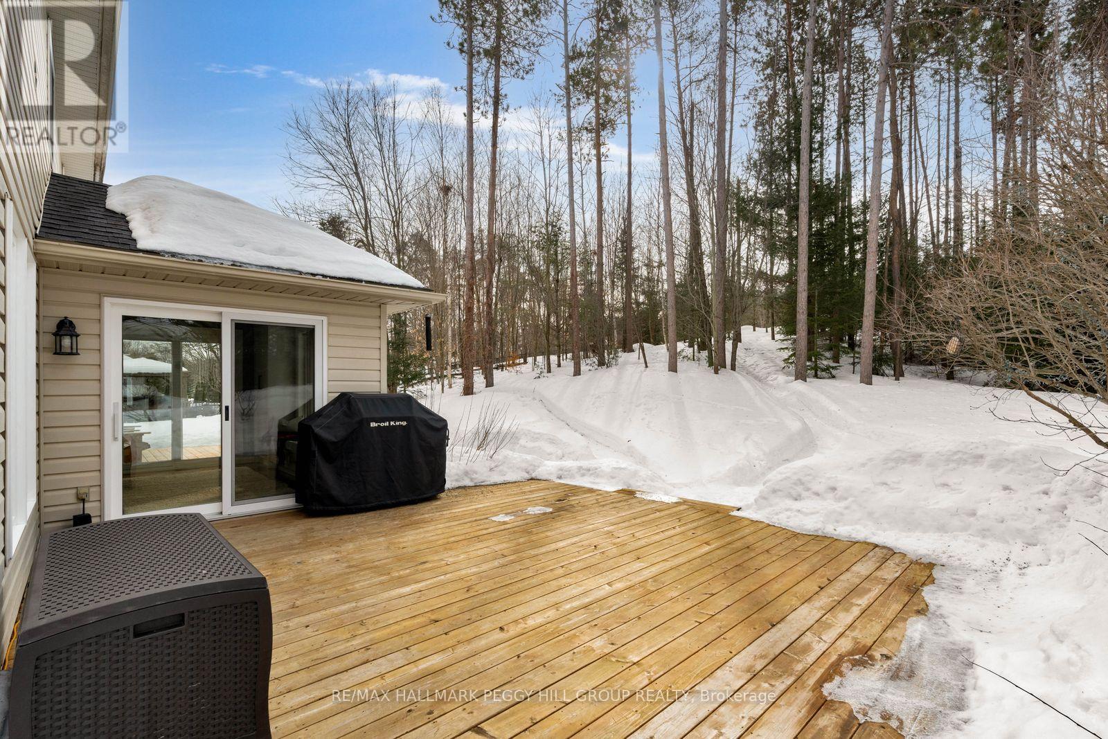 5 Campbell Court, Springwater, Ontario  L0L 1V0 - Photo 18 - S12866440