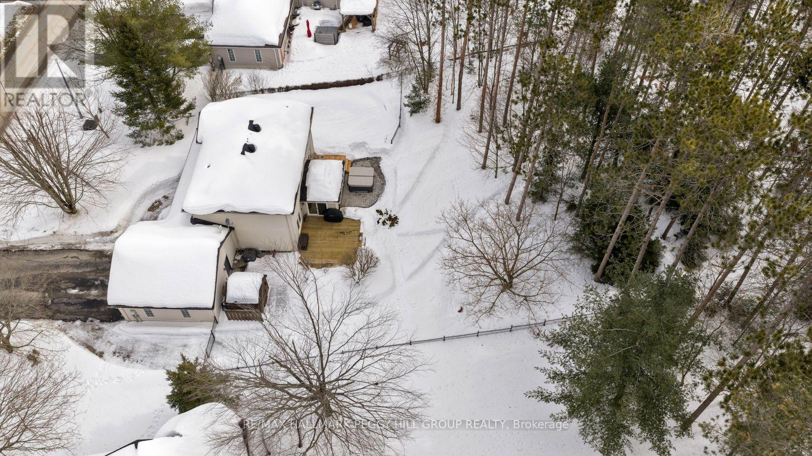 5 Campbell Court, Springwater, Ontario  L0L 1V0 - Photo 19 - S12866440