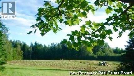 5.6 Acres Rte 420, South Esk, New Brunswick  E1V 4M2 - Photo 16 - NB134801