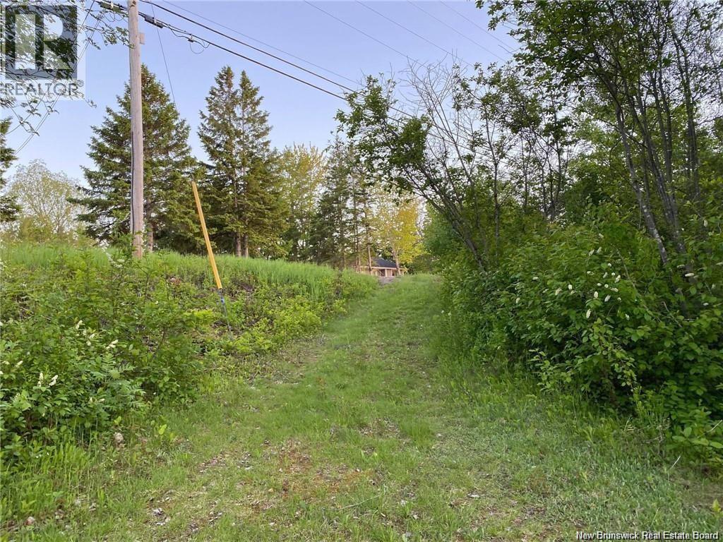 5.6 Acres Rte 420, South Esk, New Brunswick  E1V 4M2 - Photo 13 - NB134801