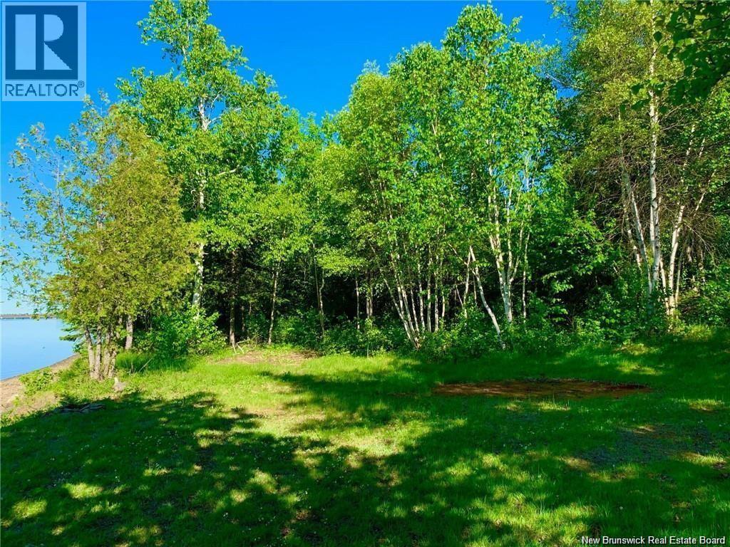5.6 Acres Rte 420, South Esk, New Brunswick  E1V 4M2 - Photo 14 - NB134801