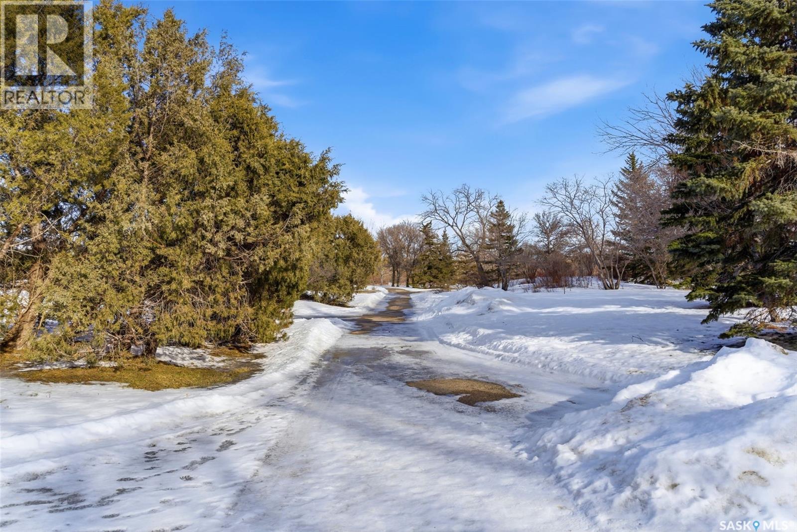 215 Dorothy Street, Regina, Saskatchewan  S4T 5V7 - Photo 40 - SK030055