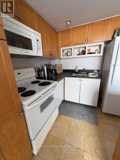 1709 - 208 Queens Quay, Toronto, Ontario  M5J 2Y5 - Photo 4 - C12866314