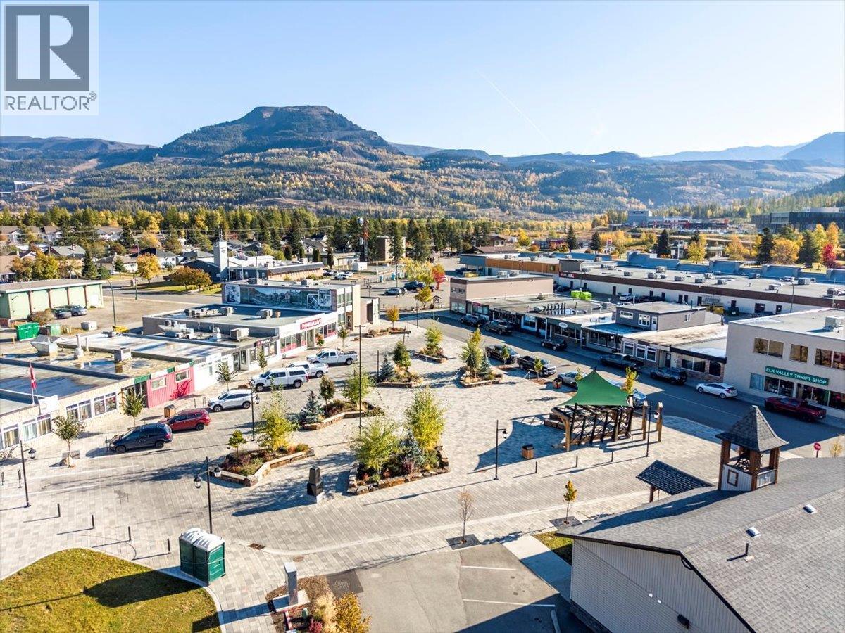 116 Centennial Street, Sparwood, British Columbia  V0B 2G0 - Photo 41 - 10378807