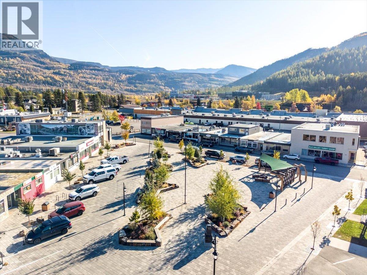 116 Centennial Street, Sparwood, British Columbia  V0B 2G0 - Photo 42 - 10378807