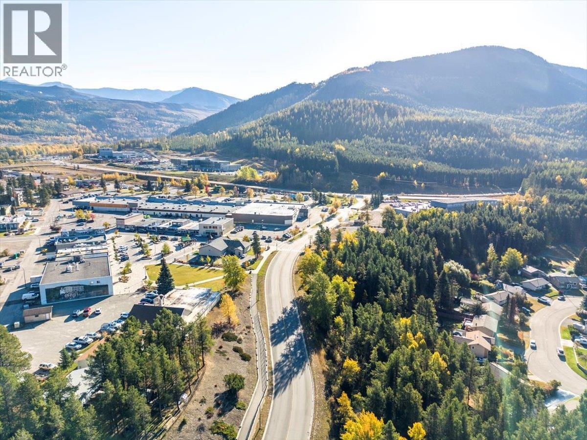 116 Centennial Street, Sparwood, British Columbia  V0B 2G0 - Photo 49 - 10378807