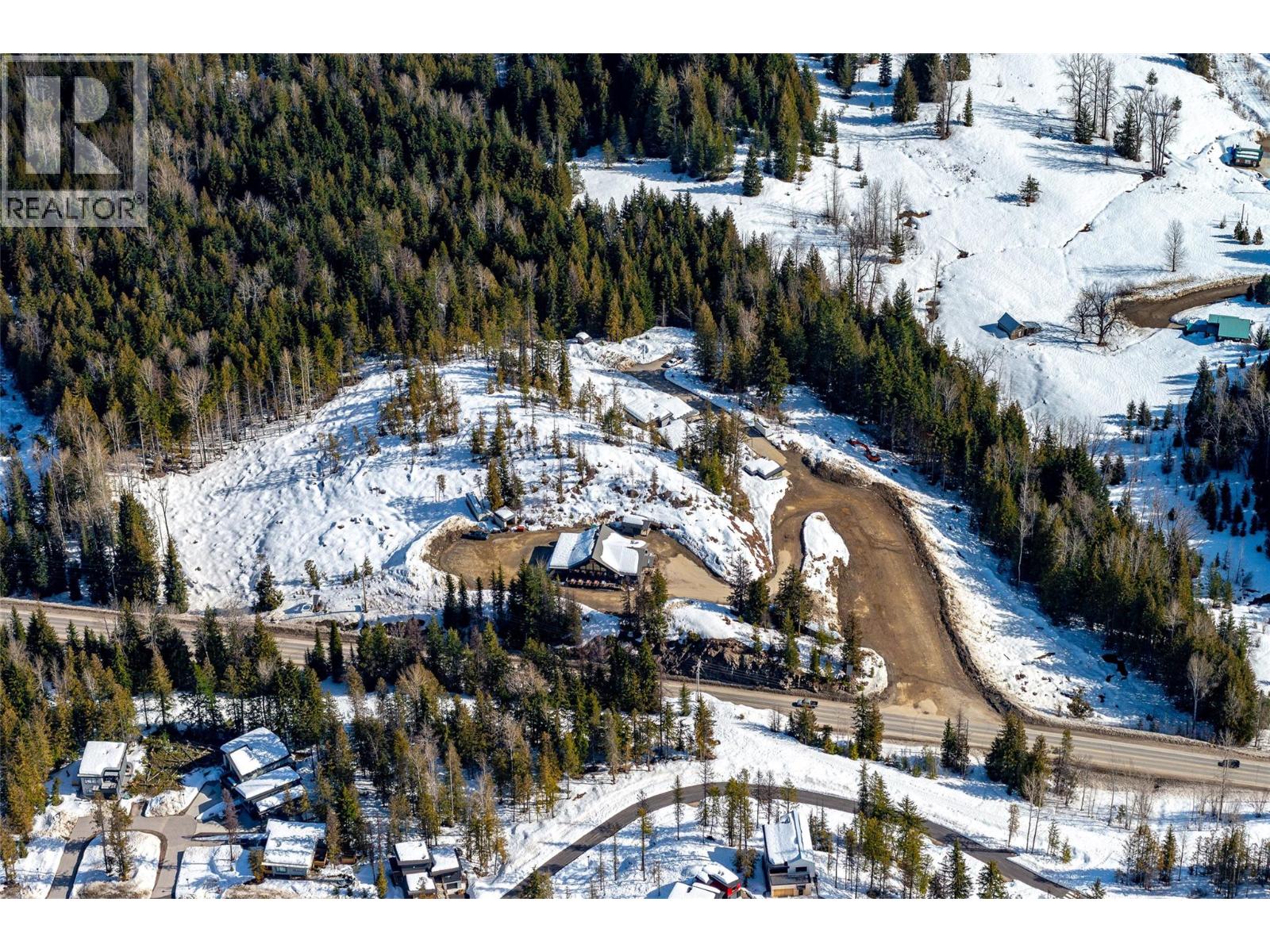 3052 Nancy Greene Highway, Rossland, British Columbia  V0G 1Y0 - Photo 11 - 10378046