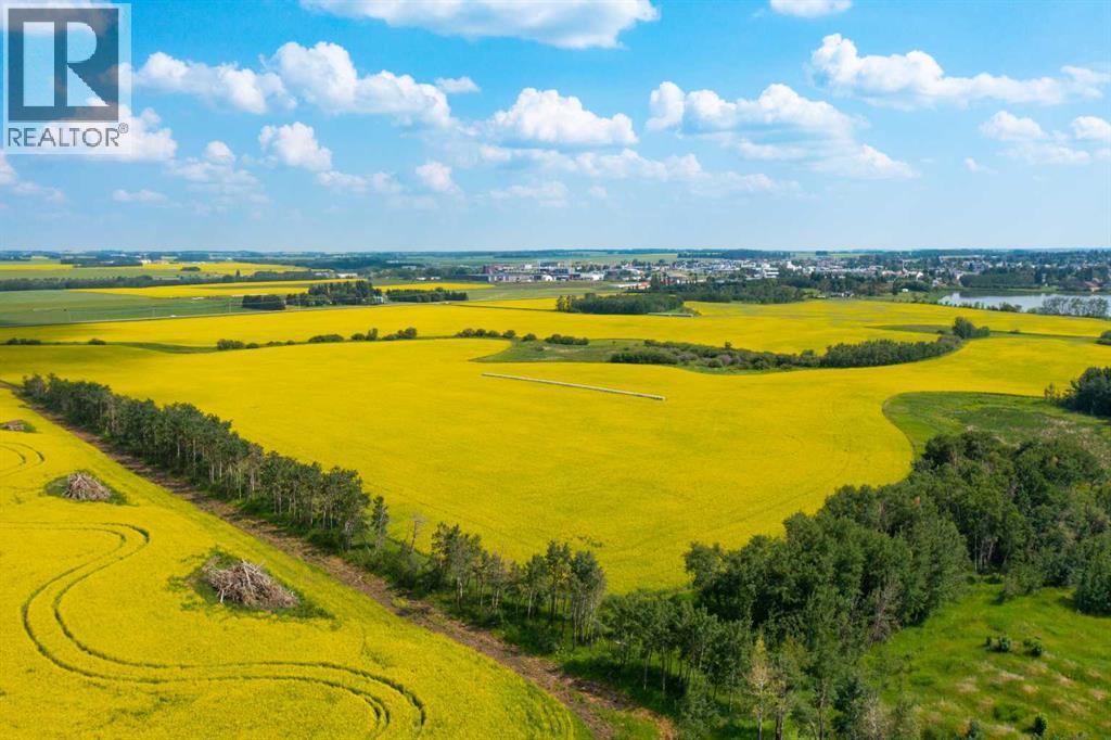 5901 50 Avenue, Innisfail, Alberta  T4G 1R7 - Photo 11 - A2291188