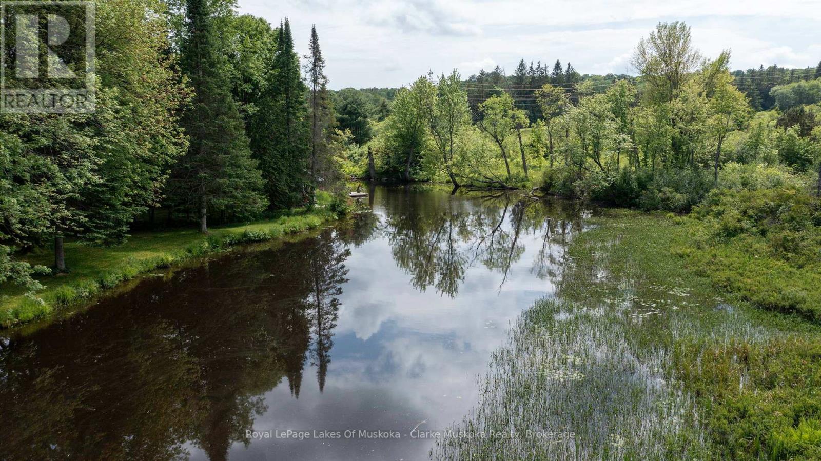 43 Maple St, Seguin, Ontario  P0C 1J0 - Photo 33 - X12866692