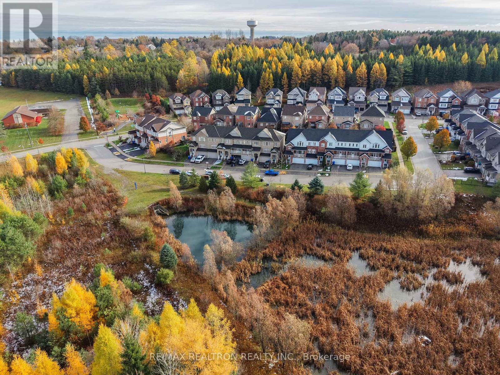 13 Arthur Case Crescent, East Gwillimbury, Ontario  L0G 1M0 - Photo 41 - N12866642