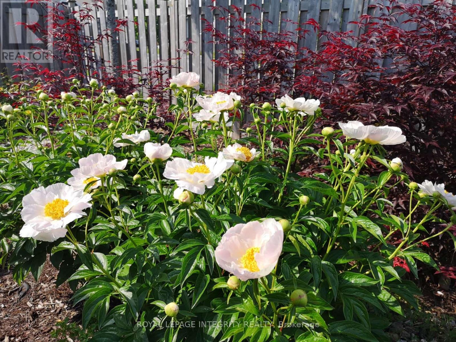 278 Maxwell Bridge Road, Ottawa, Ontario  K2W 0B2 - Photo 31 - X12867008