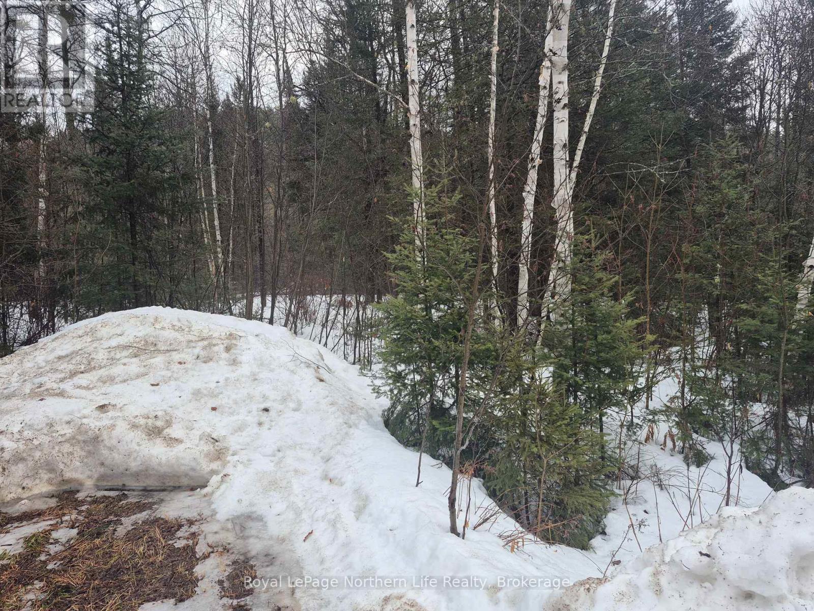 67 Arbutus Trail, Mattawan, Ontario  P0H 1V0 - Photo 2 - X12866808