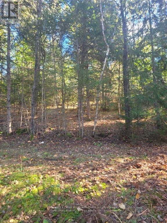 Pt Lt 33 Con 5 Hummel Line, Powassan, Ontario  P0H 1Z0 - Photo 12 - X12867034