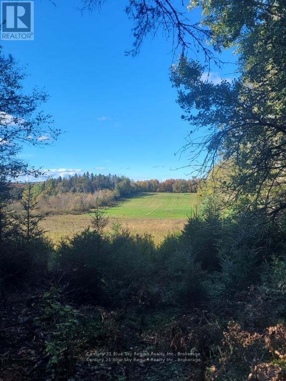 Pt Lt 33 Con 5 Hummel Line, Powassan, Ontario  P0H 1Z0 - Photo 9 - X12867034