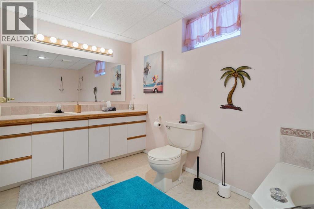 44241 Rr215, Rural Camrose County, Alberta  T0B 1M0 - Photo 27 - A2289762